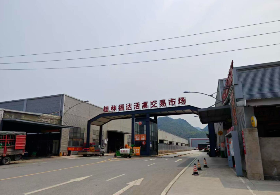 桂林一村庄村民反映紧邻活禽交易市场致生活用水发黑 市场称属“造谣”,联合调查组介入调查